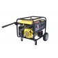 Gasoline generator ec6500cxi Gasoline generator ec6500cxi