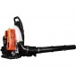 Leaf Blower TB70