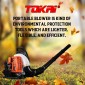 Leaf Blower TB70