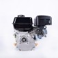 Petrol Engine EX200i