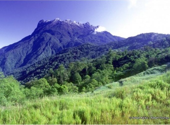 Just another WordPress site