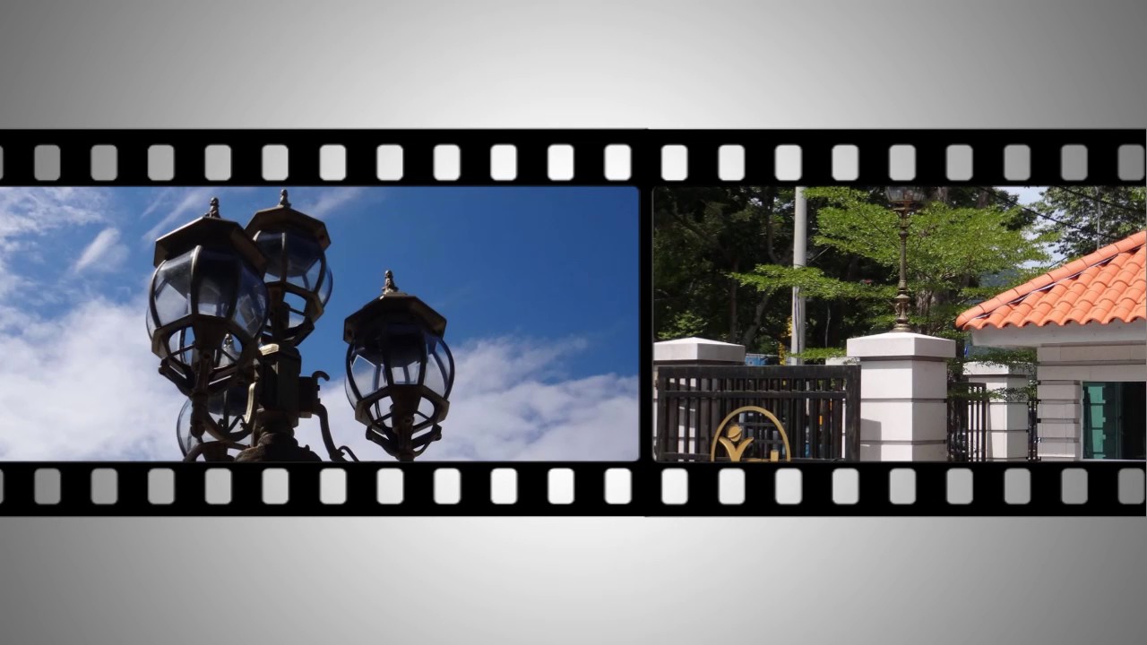 YGL CORPORATE OFFICE